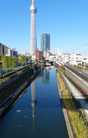 逆さ2.jpg
